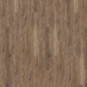 Mflor 81607 Bramber Chestnut Alforf 25-05